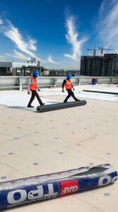 This is a picture of Workers Rolling Out TPO Membrane on a DensDeck Roof project for IKEA in Bangalore.jpg